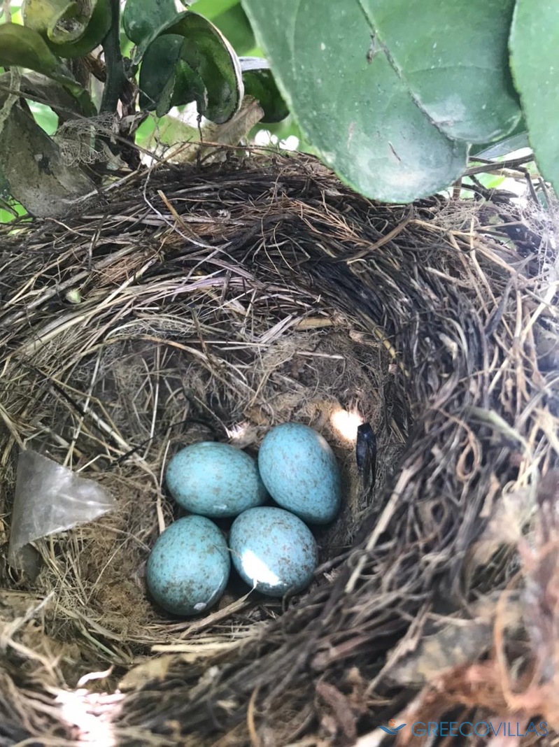 ��� ������!